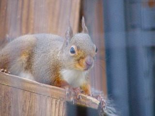 b0009029_22245640.jpg