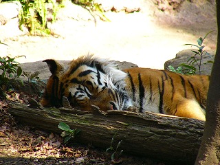 b0009029_2285583.jpg