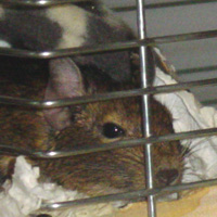 c0005835_20543582.jpg