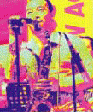 a0020236_1622824.gif