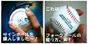 c0046340_1730714.jpg