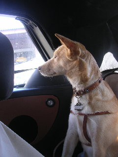 c0065643_22363447.jpg