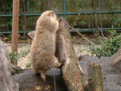 c0044199_20122620.jpg
