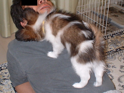 c0044199_20144373.jpg