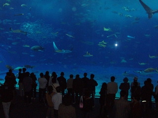 a0027720_1535210.jpg