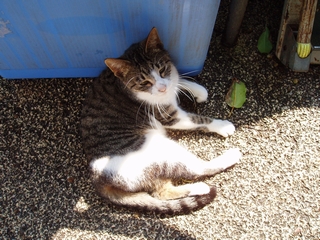 a0027720_38315.jpg