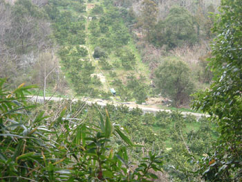 b0058229_10172821.jpg
