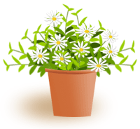b0010038_103691.gif