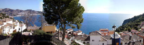 c0009070_830414.jpg