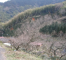 c0036203_1934011.jpg