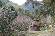 c0036203_19415111.jpg