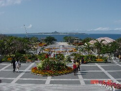 c0009528_0332883.jpg