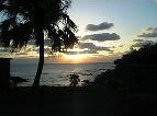 b0058840_537356.jpg