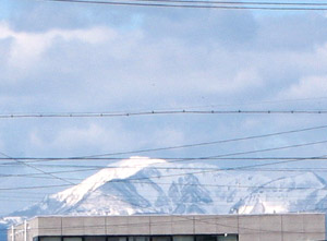 b0001154_1027146.jpg