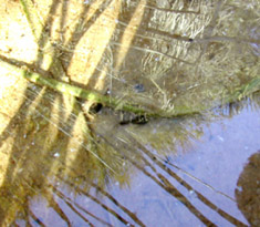 c0009070_2015554.jpg