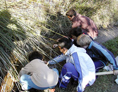 c0009070_20203647.jpg
