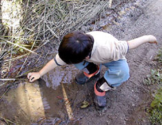 c0009070_20505687.jpg