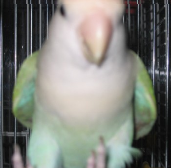 c0027871_19335766.jpg