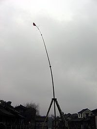 a0025035_1650229.jpg