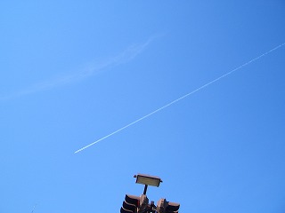 a0030248_4565077.jpg