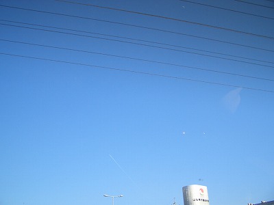 a0030248_4572620.jpg