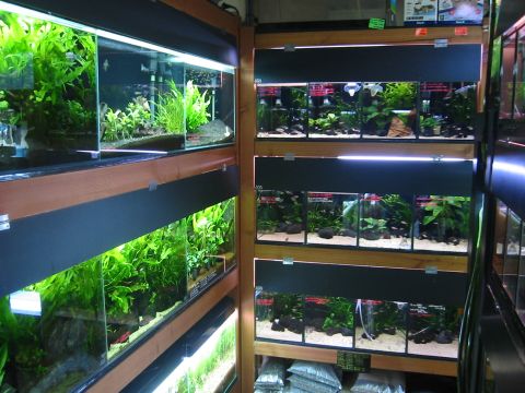 c0041852_2303987.jpg