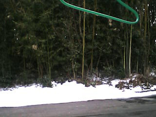 c0057354_183871.jpg