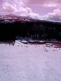 b0062892_135323.jpg
