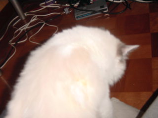 c0024410_21564167.jpg