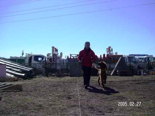 c0061923_1701964.jpg