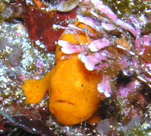 c0034029_1928976.jpg