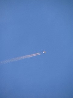 c0020059_1220544.jpg