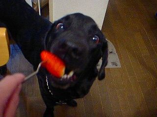 b0003270_21383838.jpg