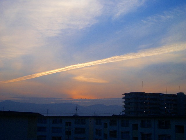 b0010882_1572871.jpg