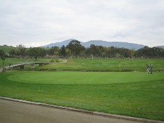 b0043897_9525199.jpg