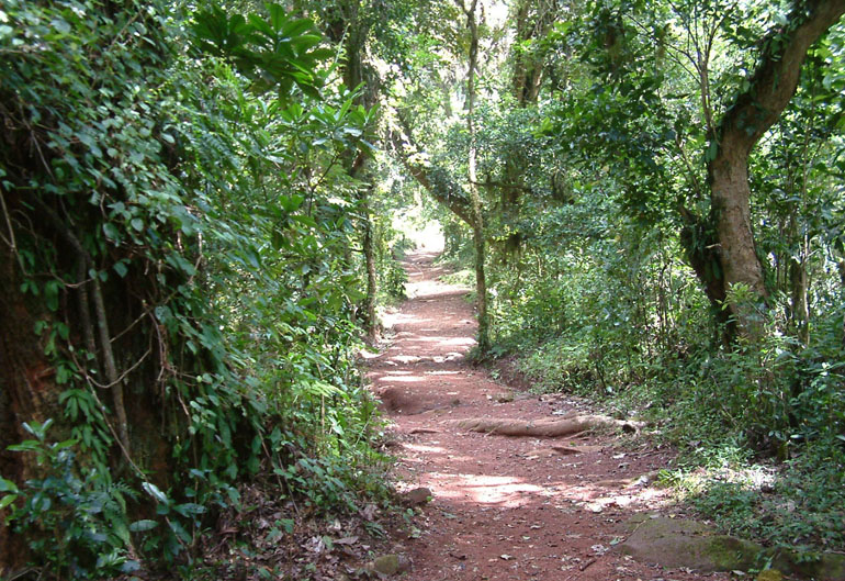 b0016623_1153547.jpg