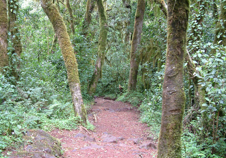 b0016623_11543471.jpg
