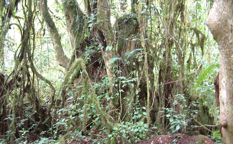 b0016623_1154537.jpg