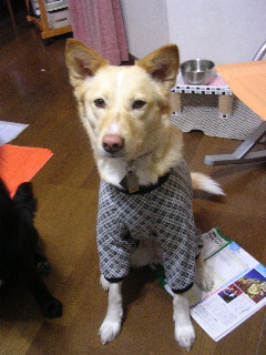 c0065643_18383252.jpg