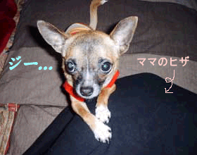 c0019050_17554412.gif