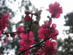 b0011368_131464.jpg