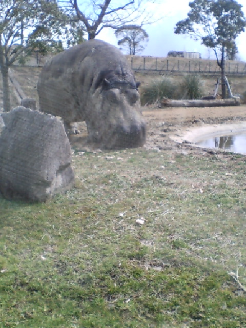 b0005295_0231516.jpg