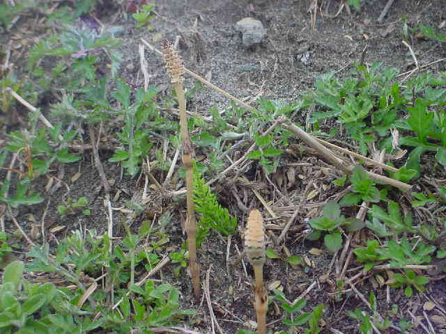 c0049902_16255247.jpg