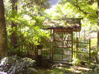 b0046664_0342383.jpg