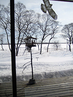 c0031085_2323314.jpg