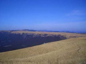c0052689_10472139.jpg