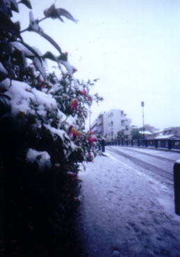 c0016712_1518310.jpg
