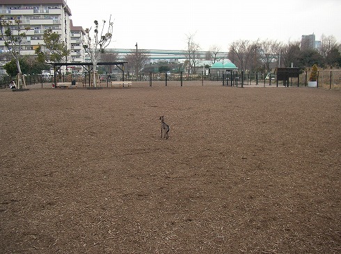 b0032768_0304856.jpg