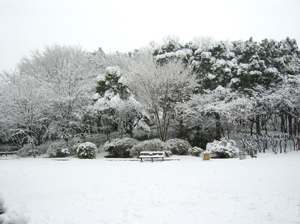 c0064678_1057534.jpg