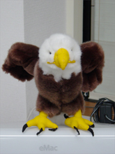 c0002089_20141971.jpg